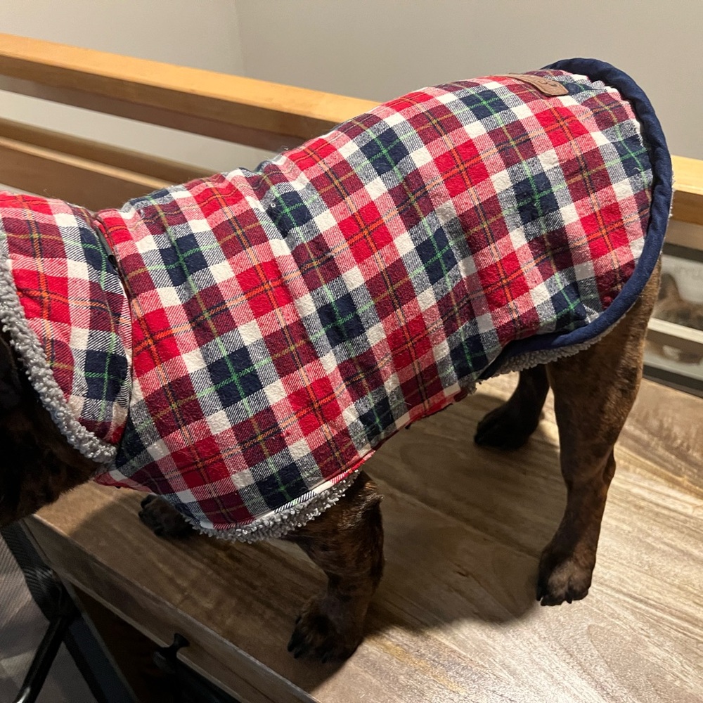 Dog fleece, Eddie Bauer jacket medium